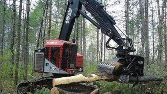 国产小型伐木拉山机视频,高效便捷的林业作业利器