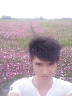 国产奶水合集视频,探寻民族乳业的魅力与品质