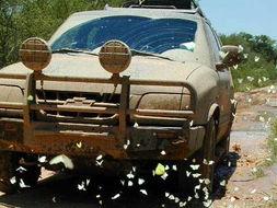 国产极地穿越车介绍视频,揭秘国产极地穿越车非凡性能