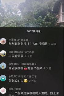 邻居 在线视频国产